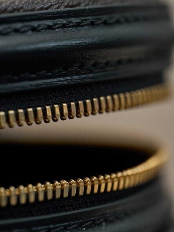 wsxc1762511237913_3 LOUIS VUITTON LV GHW Cannes 2 Way Shoulder Bag