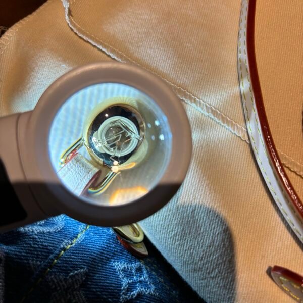 LOUIS VUITTON Nano Noe Bucket Bag