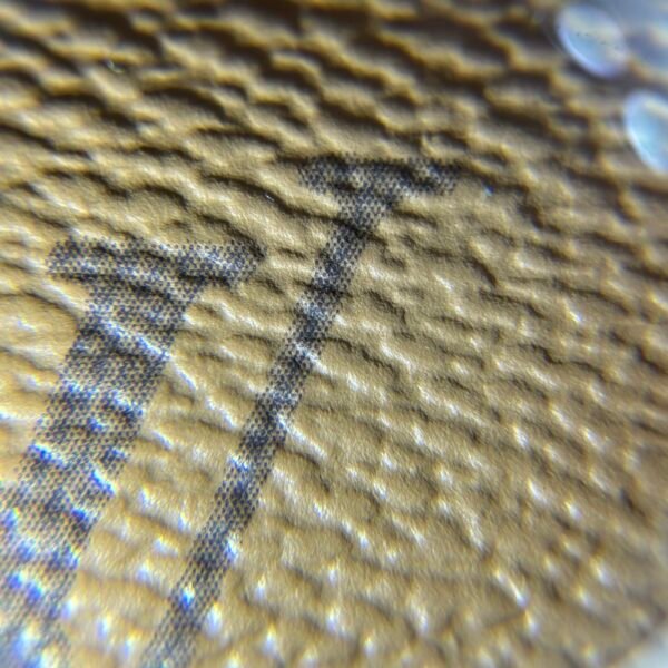 LOUIS VUITTON  Monogram Ivy Wallet On Chain