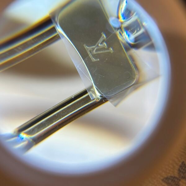 LOUIS VUITTON  Monogram Ivy Wallet On Chain