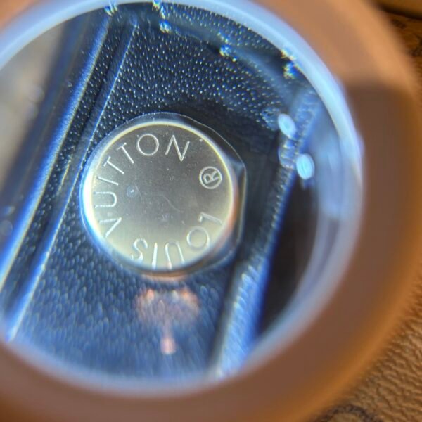 LOUIS VUITTON  Monogram Ivy Wallet On Chain