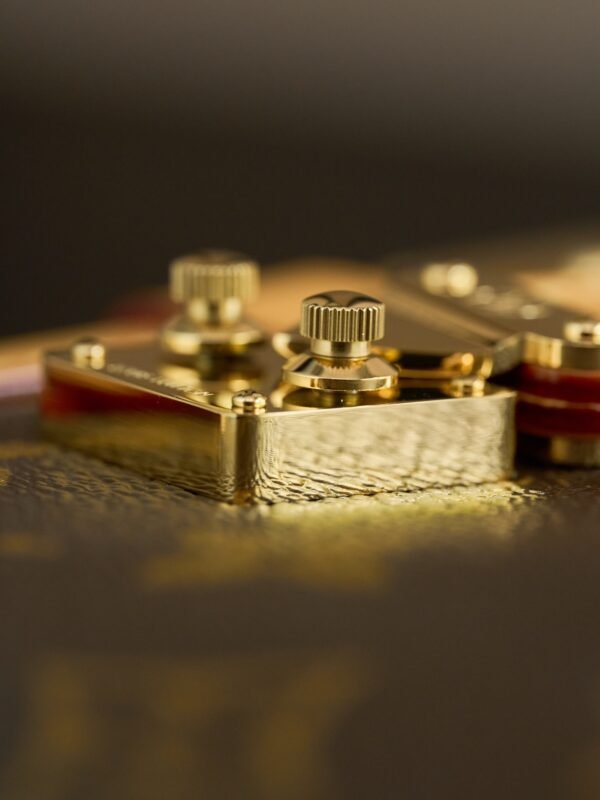 wsxc1762515776076_5 Side Trunk