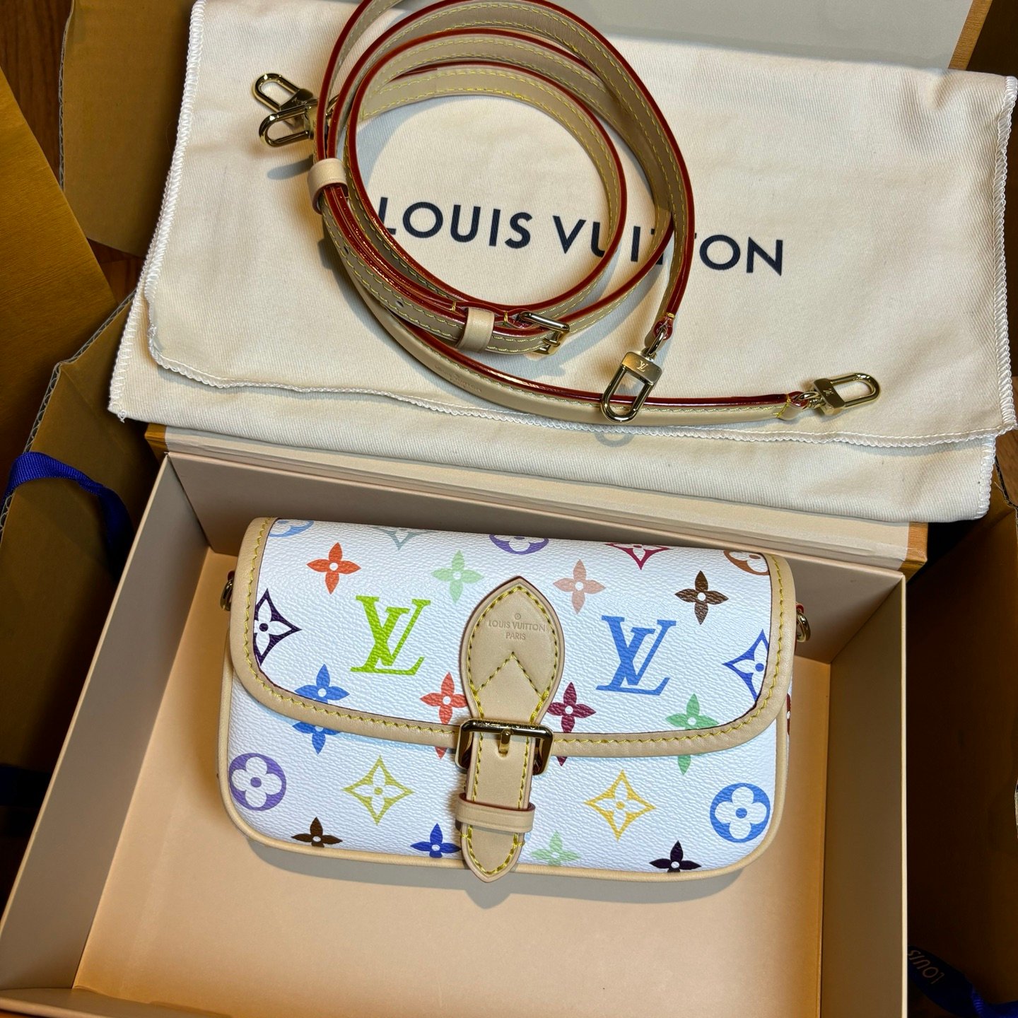 Multicolore Monogram Diane Nano 2025 - Image 20