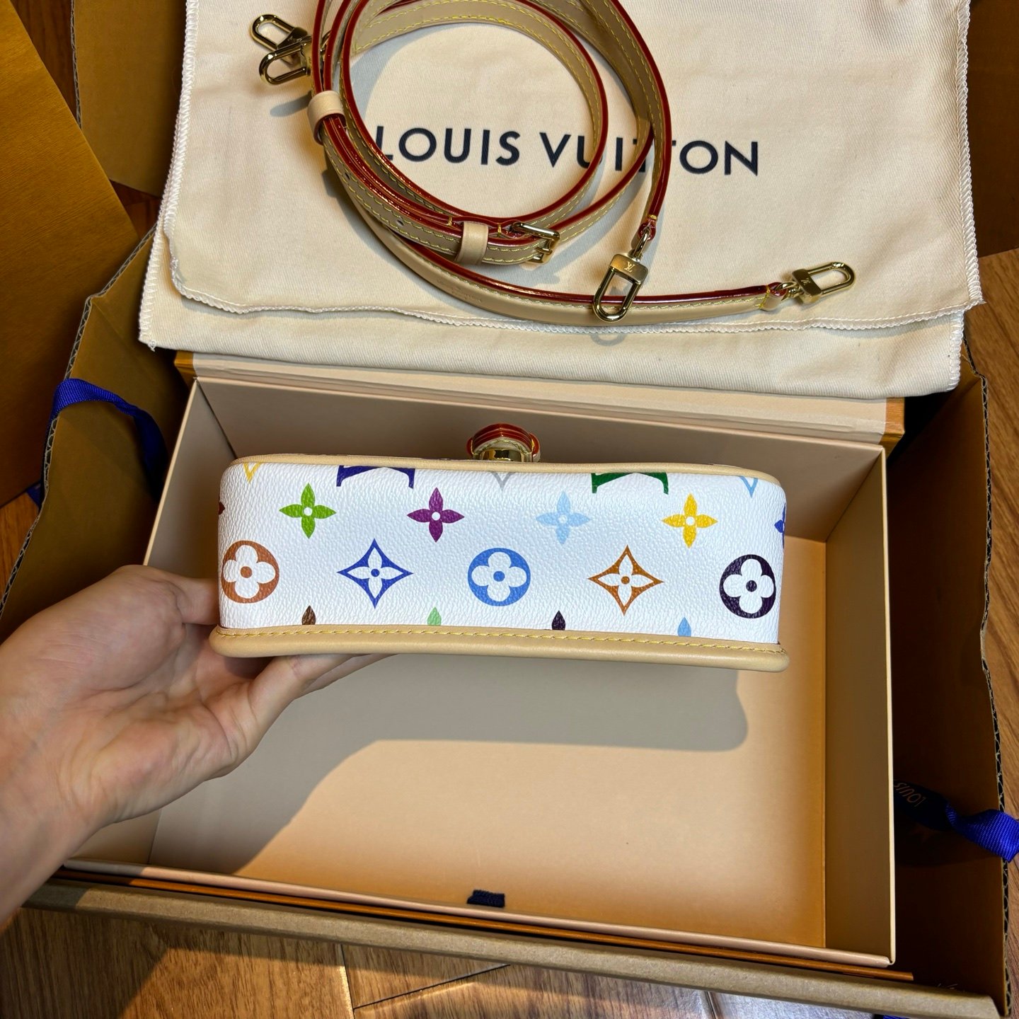 Multicolore Monogram Diane Nano 2025 - Image 21