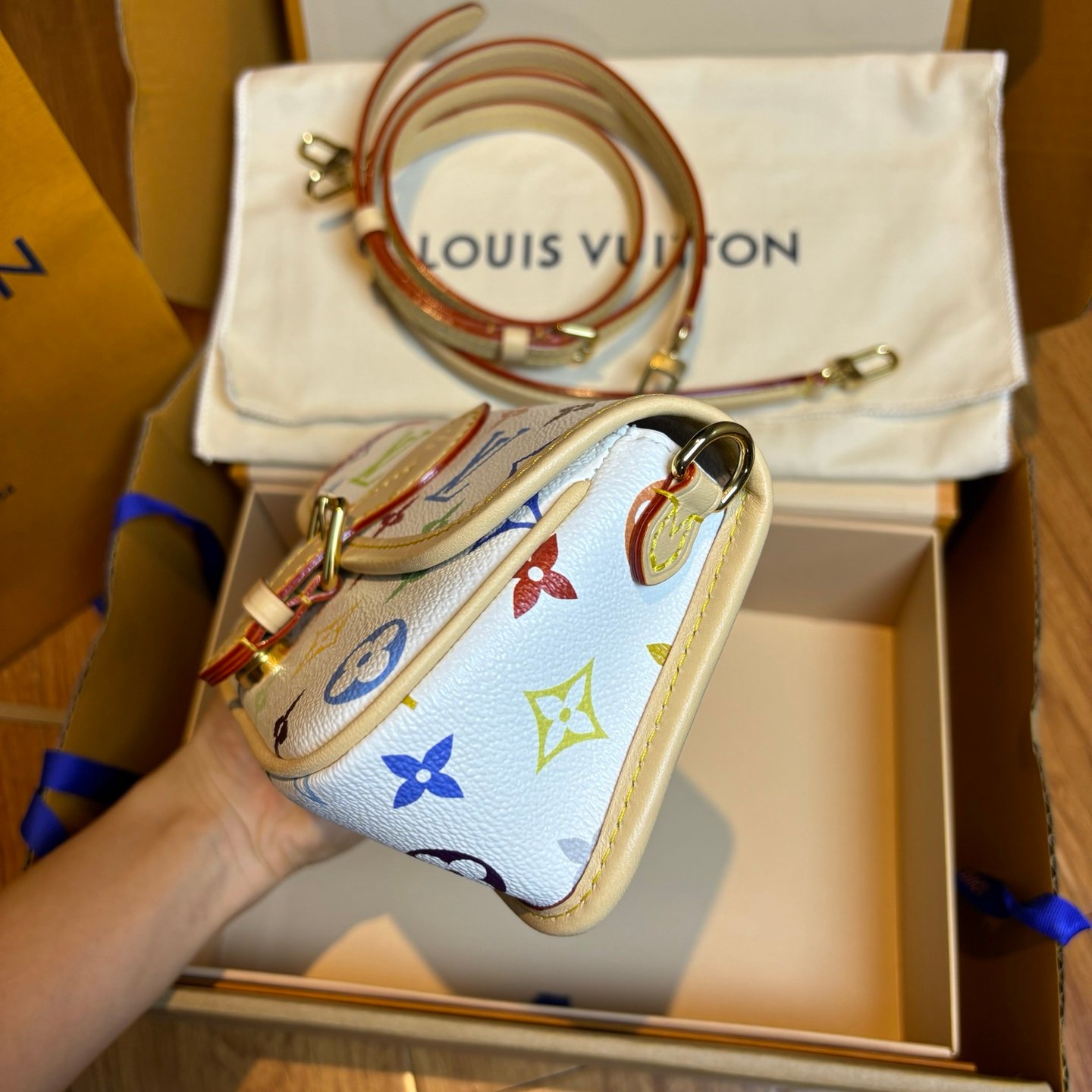 Multicolore Monogram Diane Nano 2025 - Image 22
