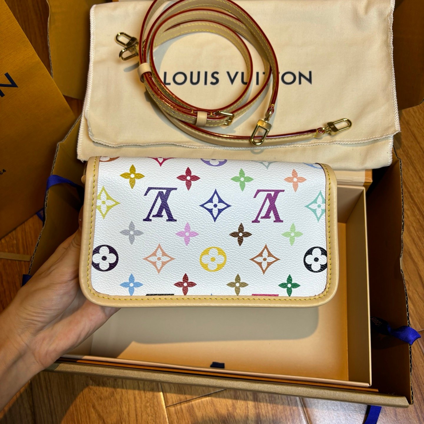 Multicolore Monogram Diane Nano 2025 - Image 23