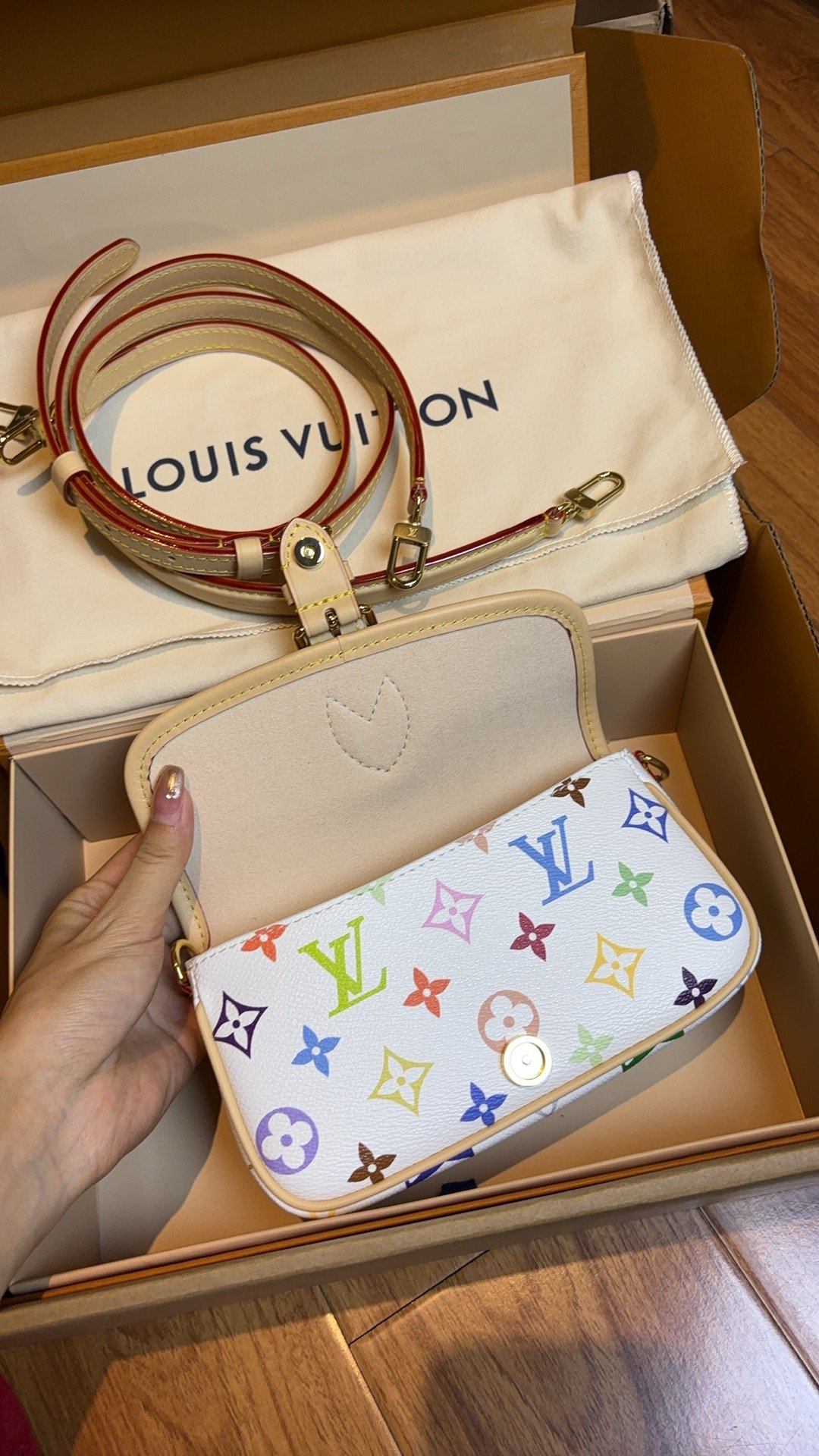 Multicolore Monogram Diane Nano 2025 - Image 25