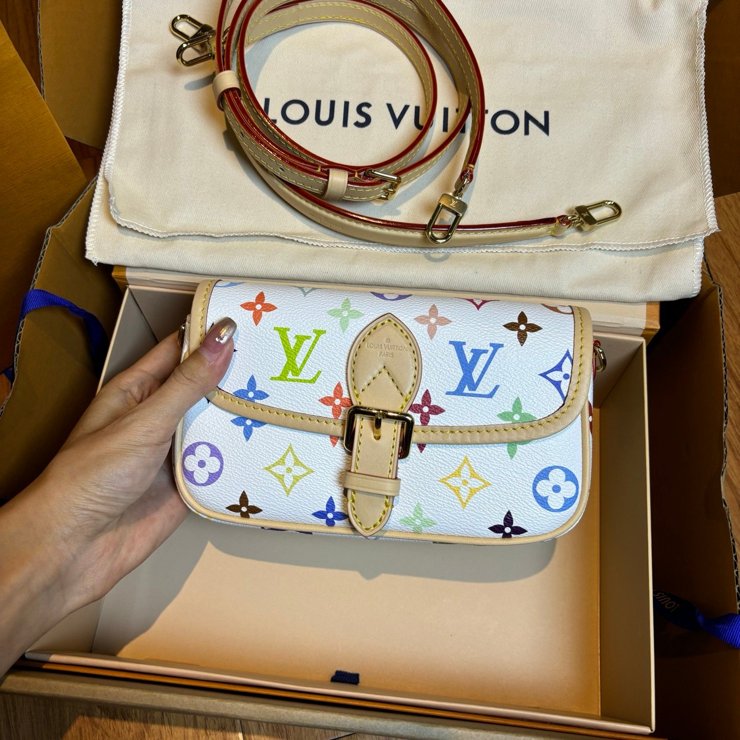 Multicolore Monogram Diane Nano 2025 - Image 28