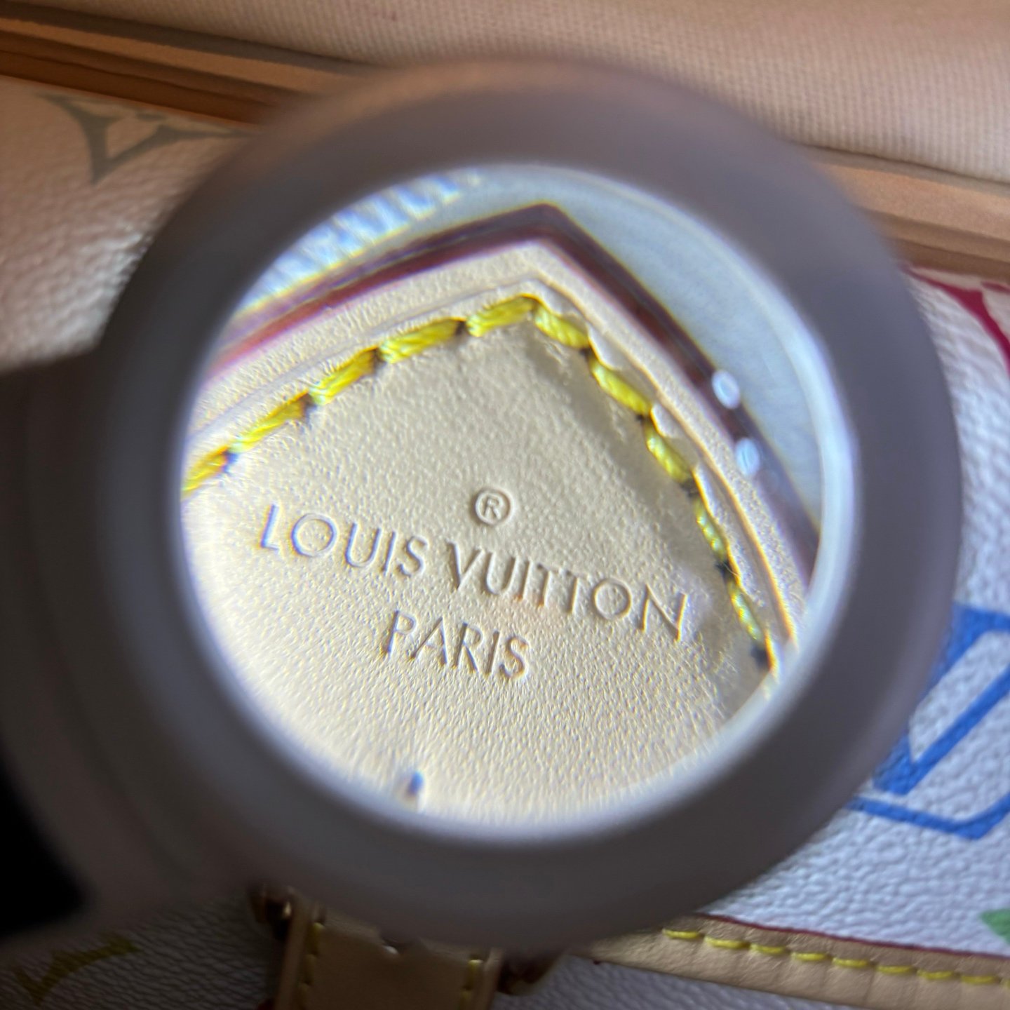Multicolore Monogram Diane Nano 2025 - Image 3
