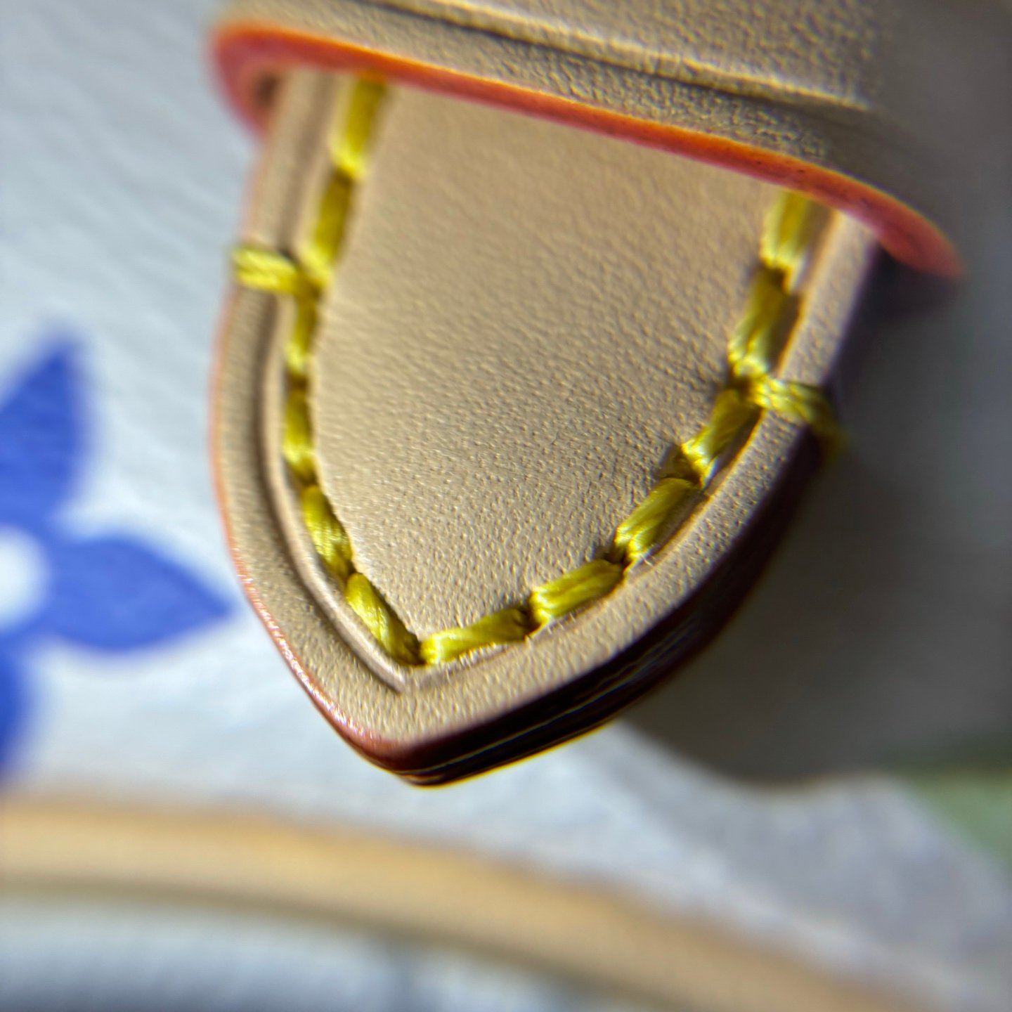Multicolore Monogram Diane Nano 2025 - Image 4
