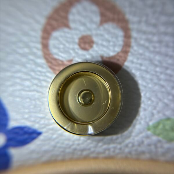 Multicolore Monogram Diane Nano 2025