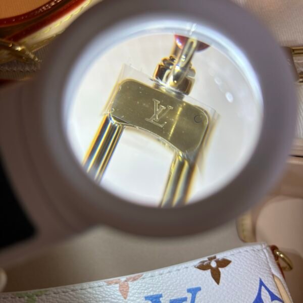 Multicolore Monogram Diane Nano 2025