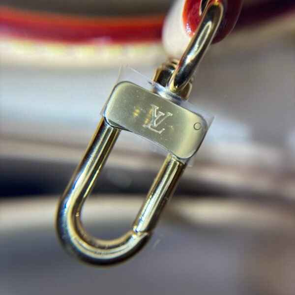 Multicolore Monogram Diane Nano 2025