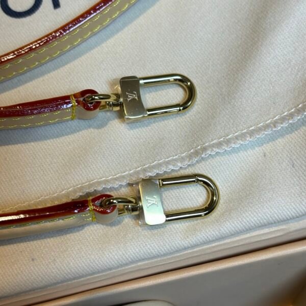 Multicolore Monogram Diane Nano 2025