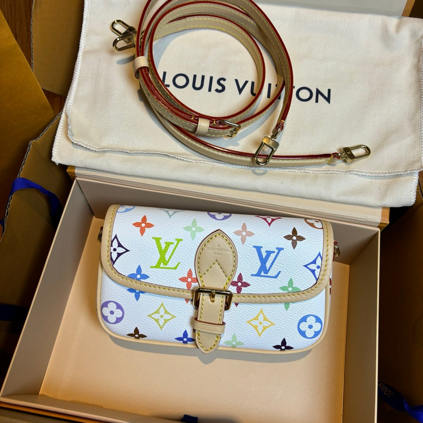 Multicolore Monogram Diane Nano 2025 - Image 10
