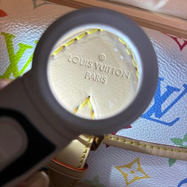 Multicolore Monogram Diane Nano 2025