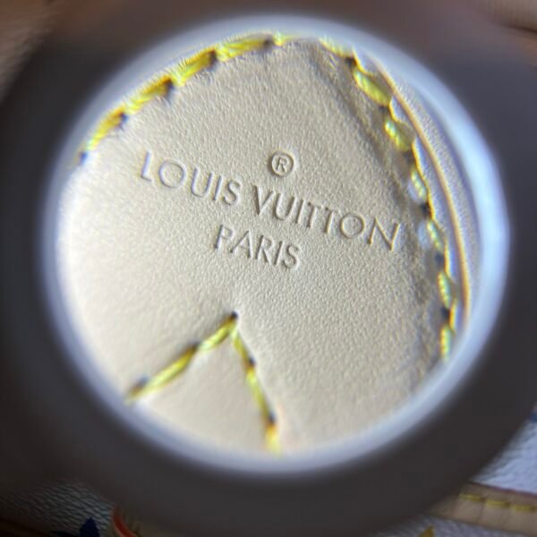 Multicolore Monogram Diane Nano 2025