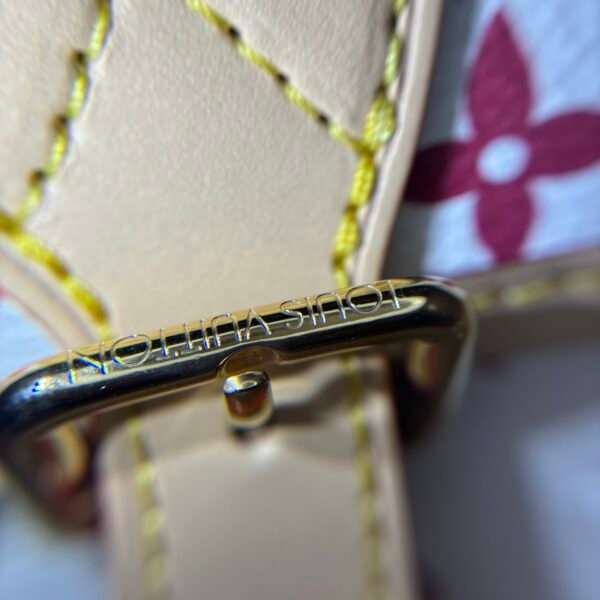 Multicolore Monogram Diane Nano 2025