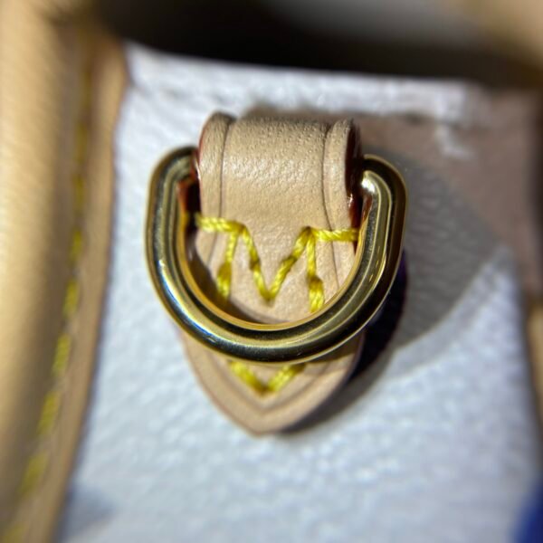 Multicolore Monogram Diane Nano 2025