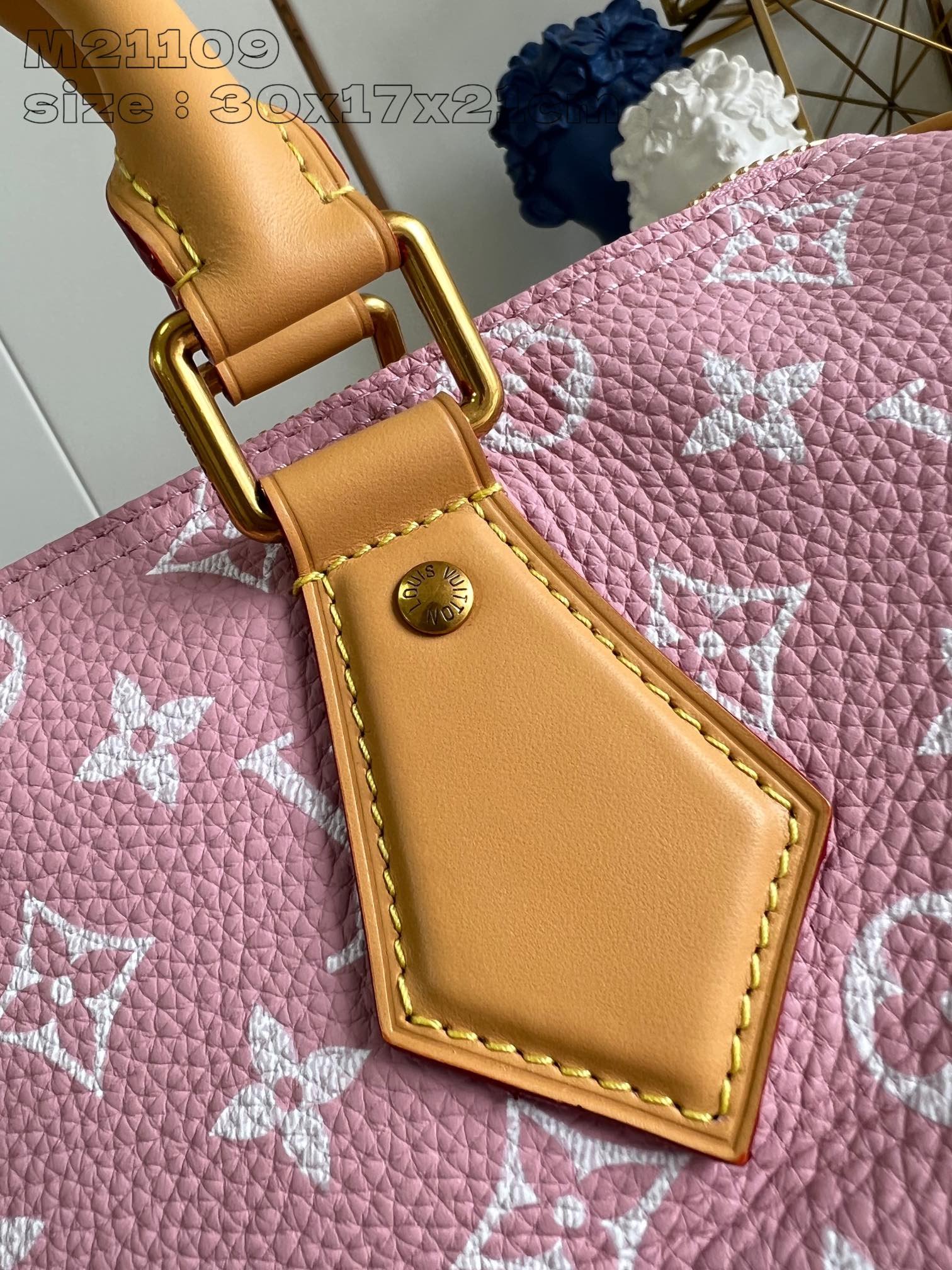 Speedy P9 Bandoulière 30 Monogram - Image 20