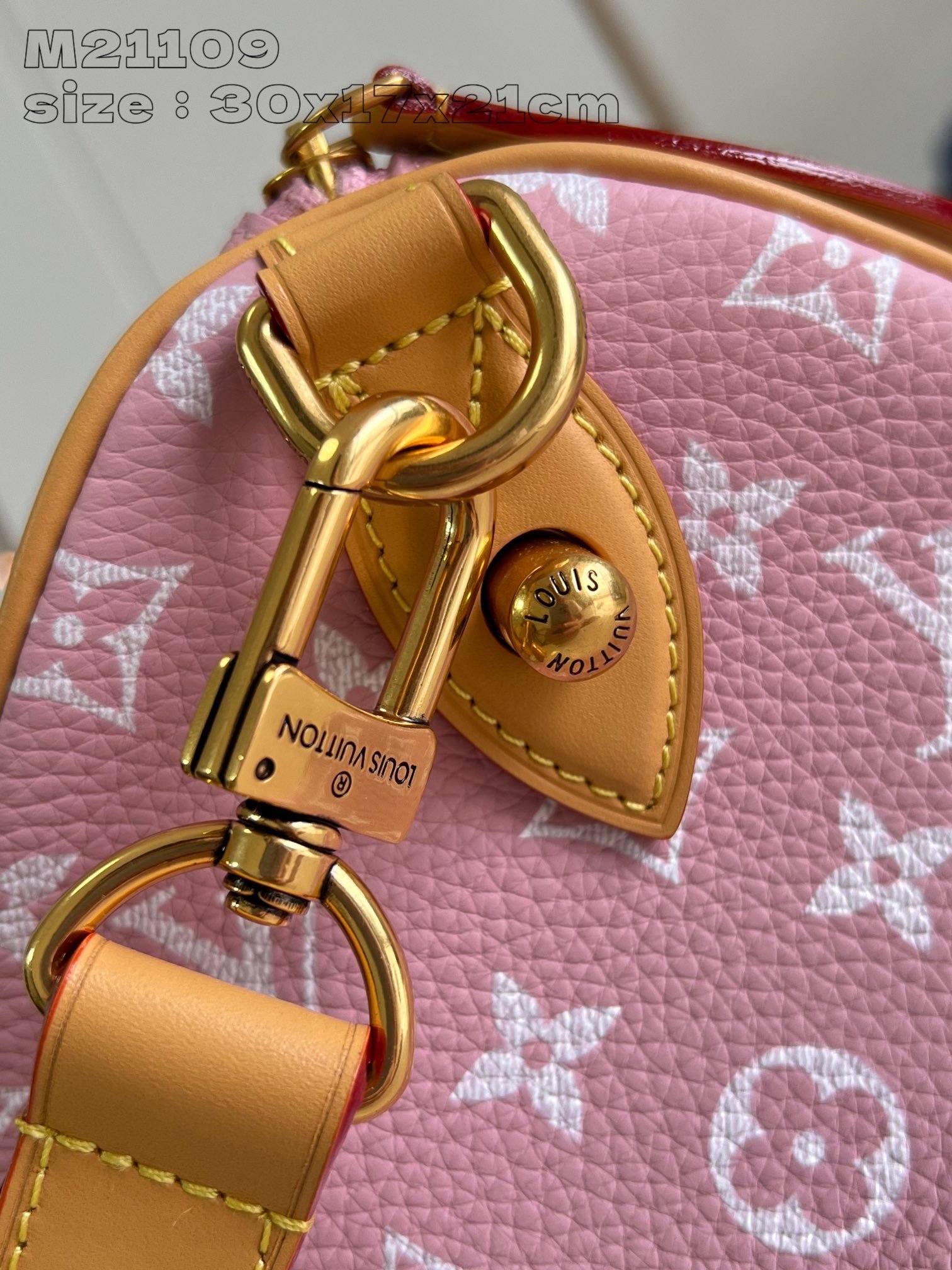 Speedy P9 Bandoulière 30 Monogram - Image 23