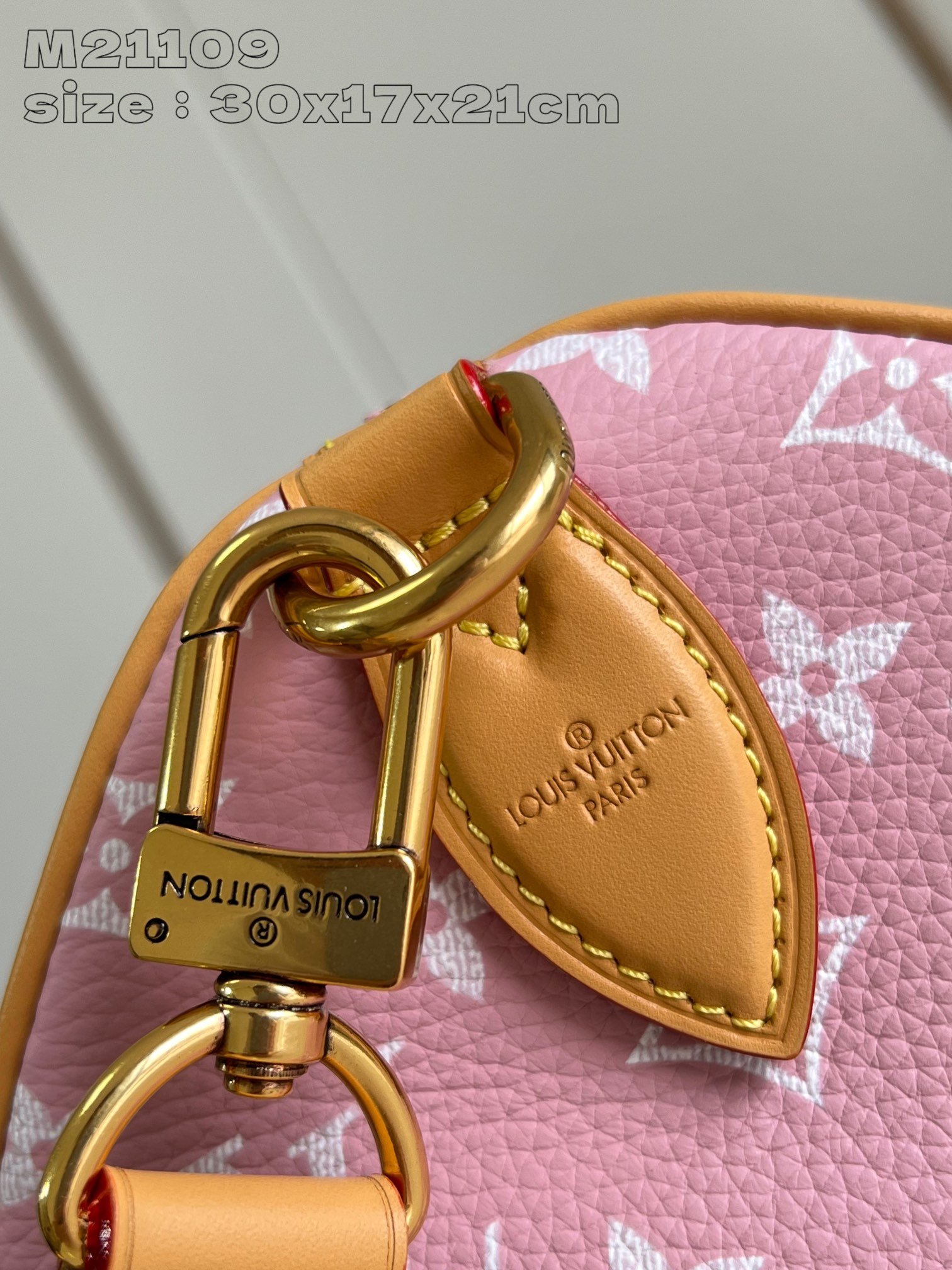 Speedy P9 Bandoulière 30 Monogram - Image 26