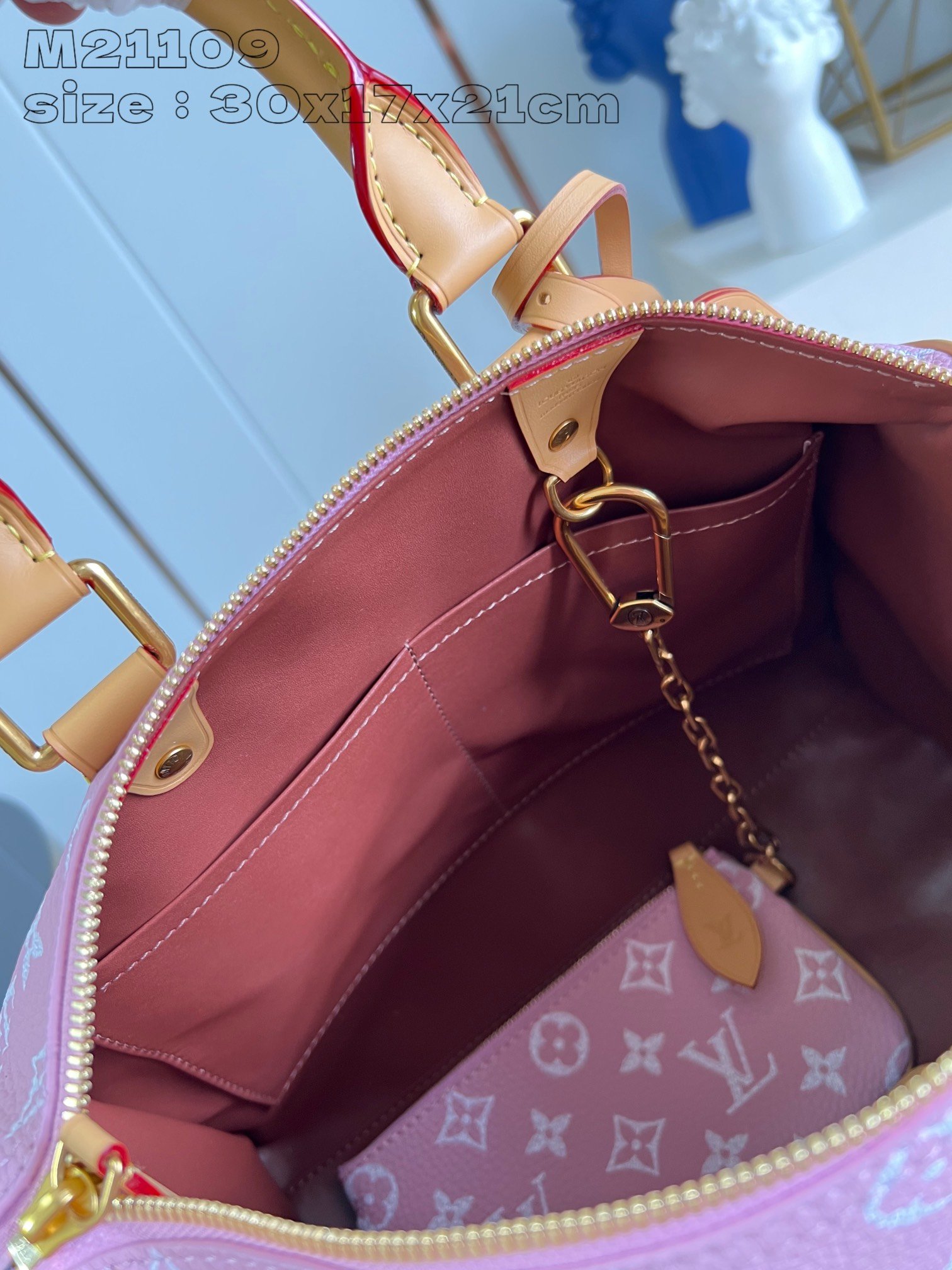 Speedy P9 Bandoulière 30 Monogram - Image 33