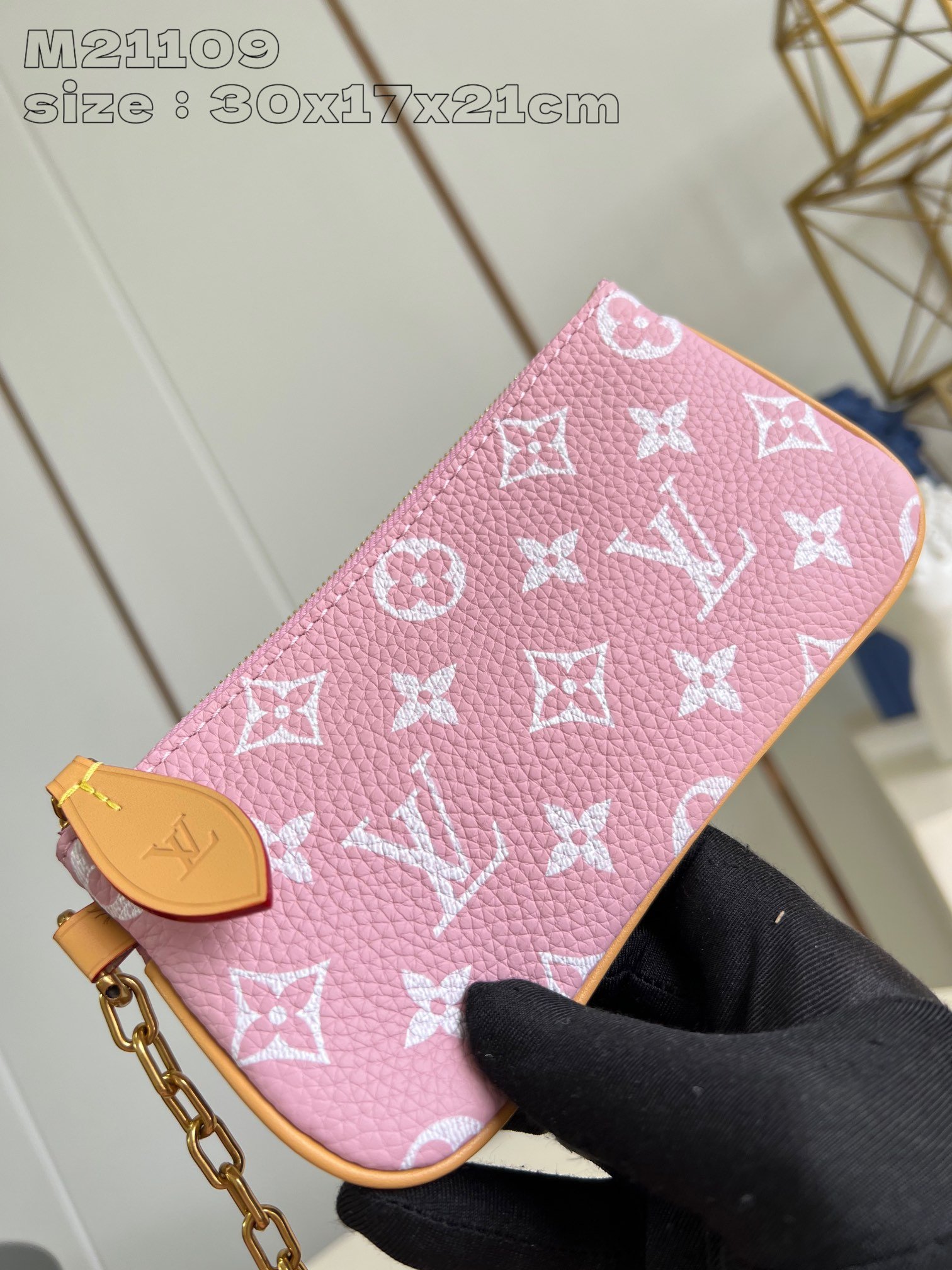 Speedy P9 Bandoulière 30 Monogram - Image 35
