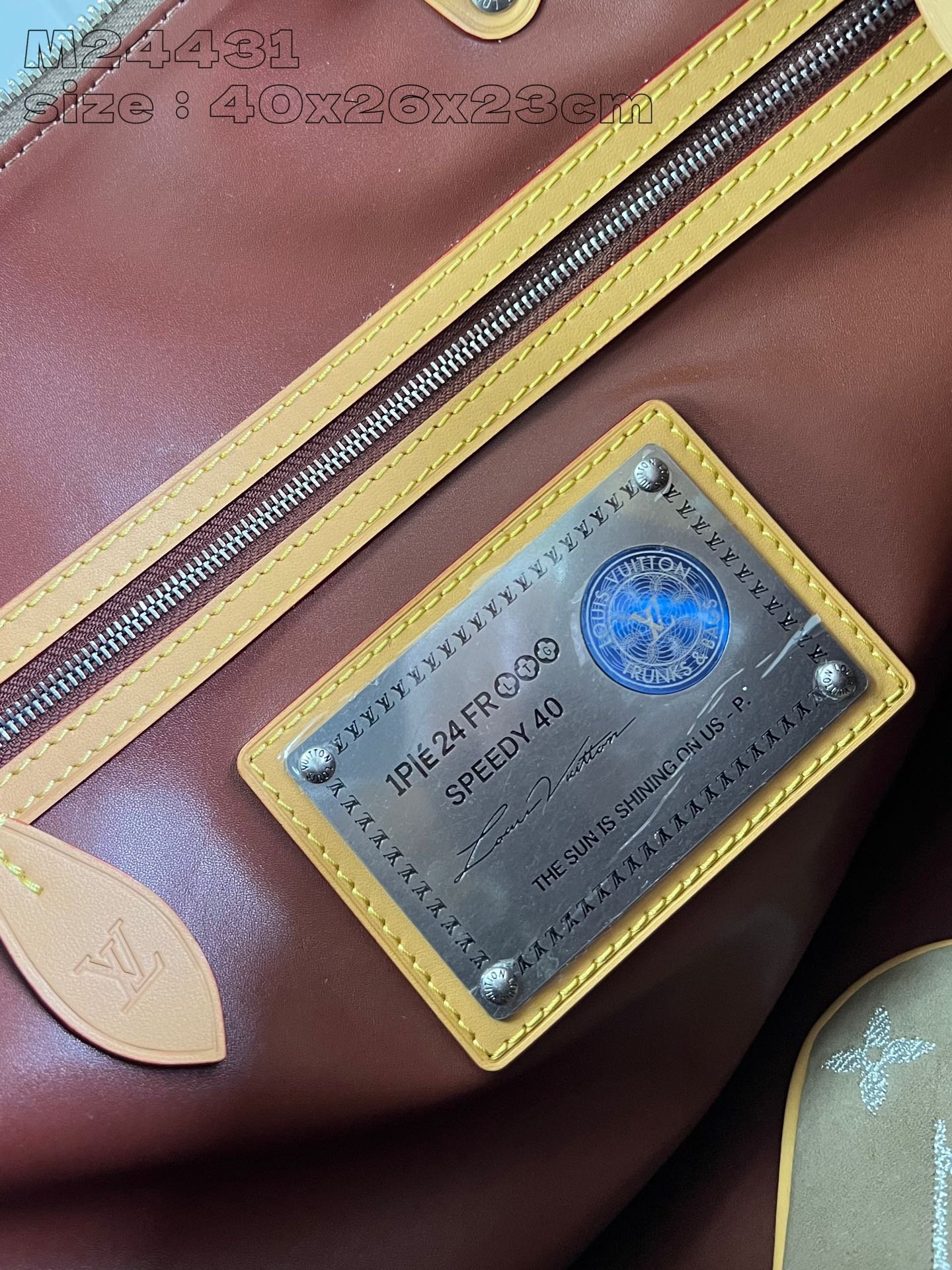 Speedy P9 Bandoulière 30 Monogram - Image 14