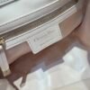 dior Small D-Motion Bag