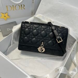 wsxc1762520914277_0 My Dior Top Handle Bag