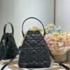 Small Dior Caro Bucket Bag