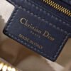 wsxc1762867578874_5 DIOR Small D-Journey Bag
