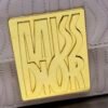 DIOR Miss Caro Mini Bag