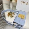 DIOR Miss Caro Mini Bag